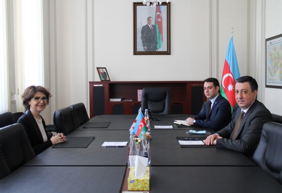 讨论阿塞拜疆与格鲁吉亚文化合作发展的前景