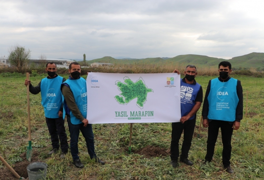 “Yaşıl Marafon” çərçivəsində Qubadlıda ağacəkmə aksiyası keçirilib