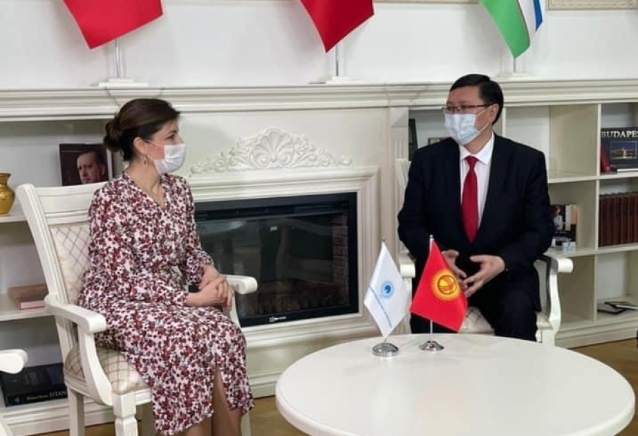 Kyrgyz minister visits International Turkic Culture and Heritage Foundation