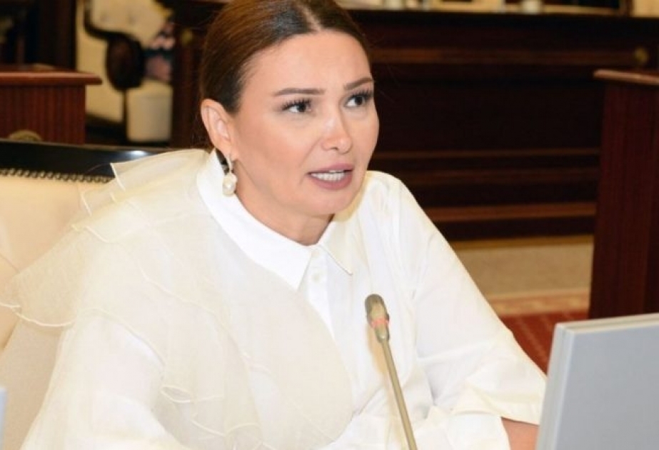 Hərbi Qənimətlər Parkı Azərbaycan dövlətinin və Ordusunun gücünün və qüdrətinin nümayişidir