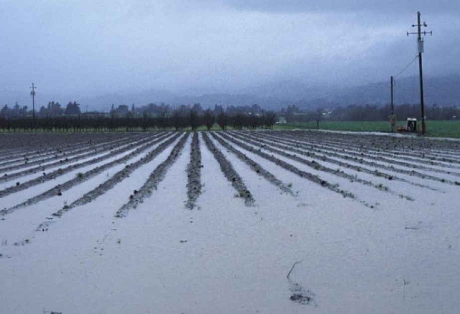 Европейские фермеры могут получить компенсацию за ущерб, нанесенный погодой