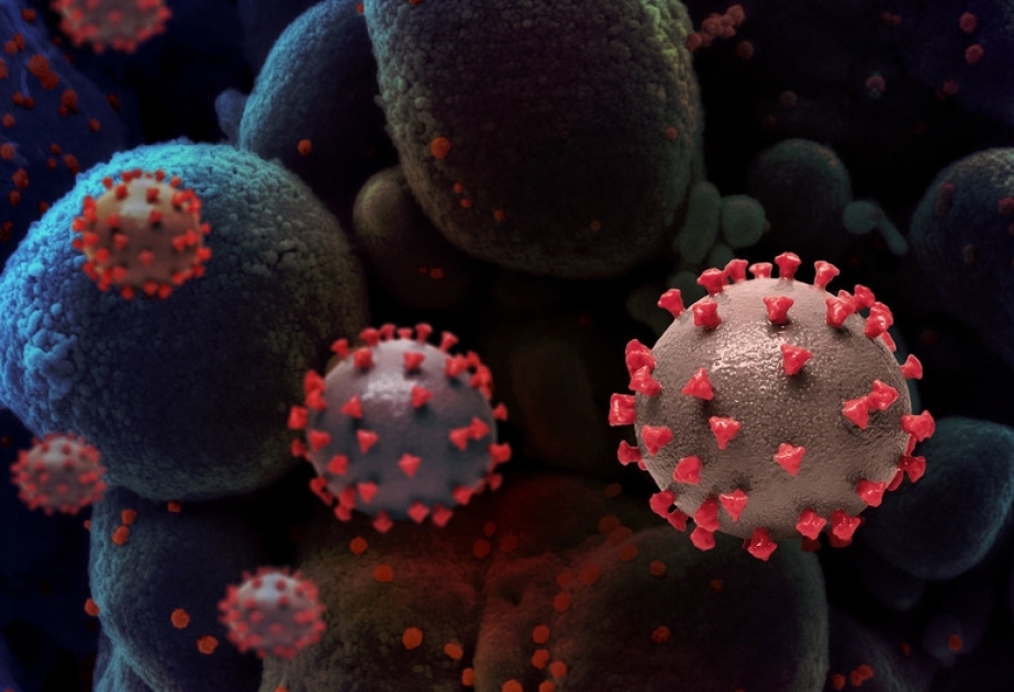 Число умерших из-за коронавируса в мире превысило 3 миллиона