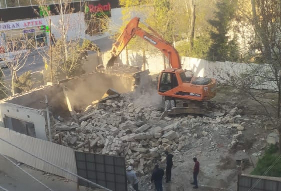 Ağacların kəsilməsi ilə bağlı şikayət araşdırılıb