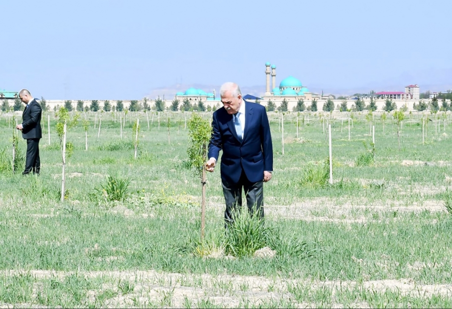 Təbiətə qayğı insan sağlamlığına qayğıdır