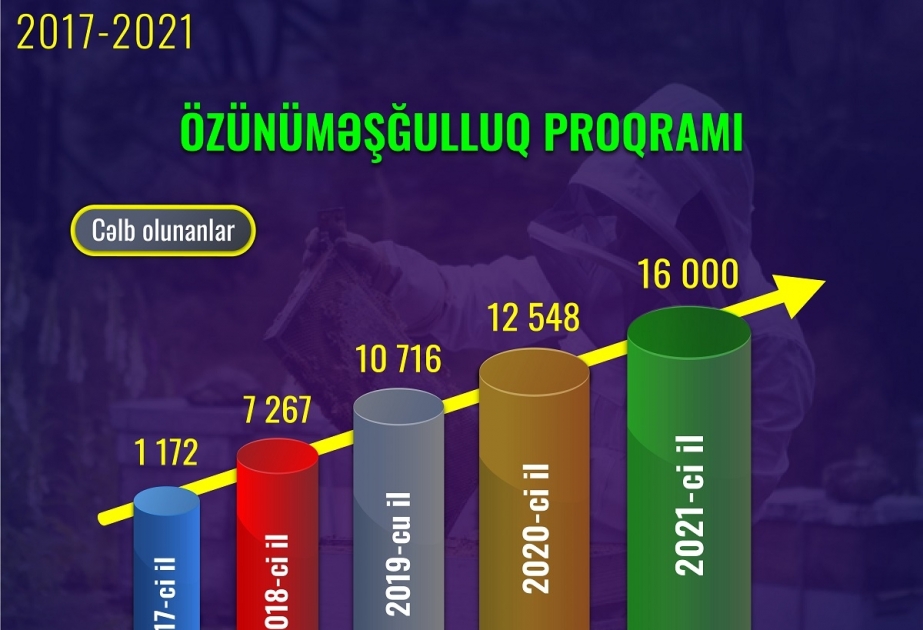 Bu il özünüməşğulluq proqramına cəlb olunanların sayı 2017-ci ilə nisbətən 13,6 dəfə artacaq