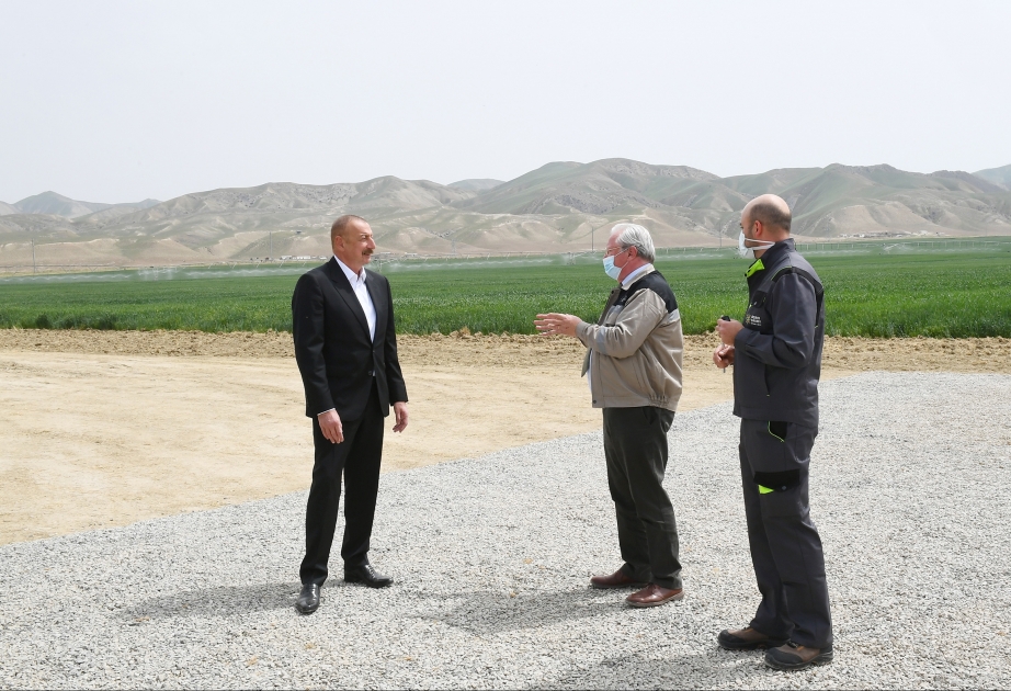 Im Rayon Hadschigabul neuer Agro-Park präsentiert  Präsident Ilham Aliyev nahm an Präsentation teil VIDEO