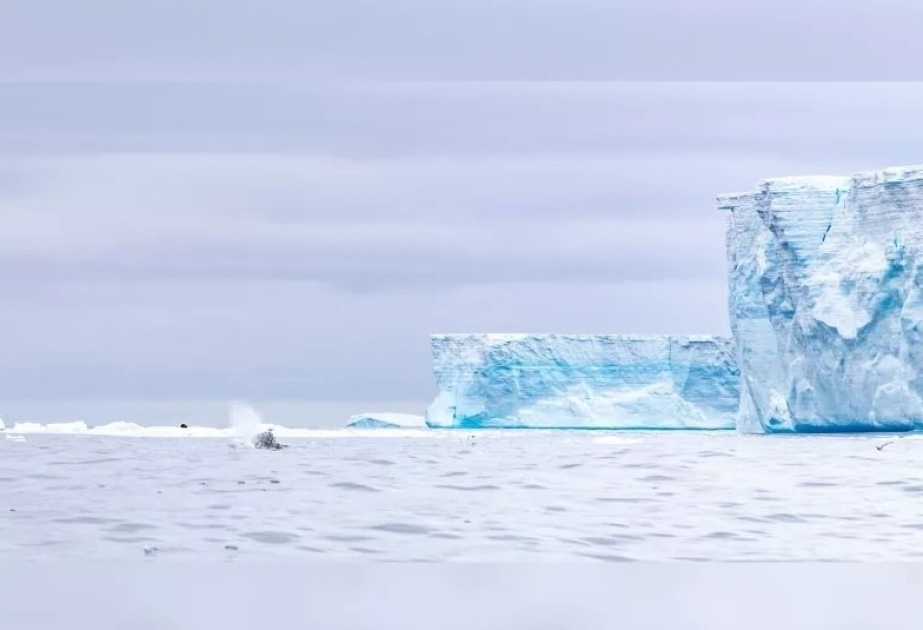Se derrite el iceberg más grande del mundo