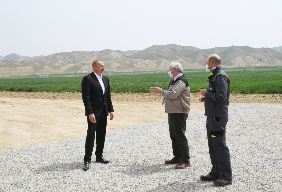 Ilham Aliyev asiste a la ceremonia de presentación del parque agrícola Aqro Dairy Ltd en Hajigabul