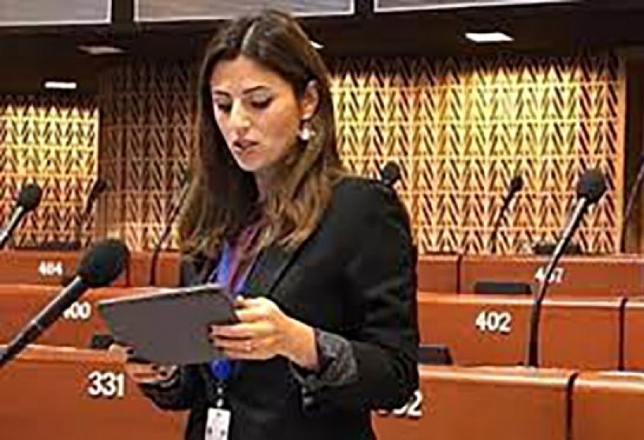 Sevinc Fətəliyeva: Ermənistanda və xaricdə bu ölkəni üçtərəfli Bəyanatı yerinə yetirməkdən yayındırmaq üçün süni maneələr yaratmaqda maraqlı dairələr var