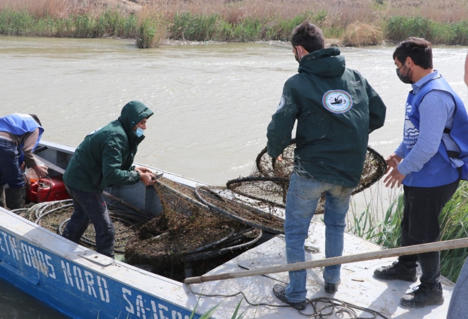 "Təmiz hövzələr" aksiyası davam edir