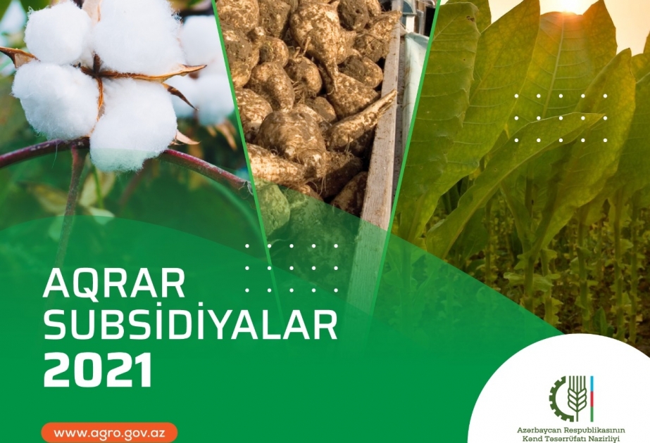 Yazlıq əkinlərə görə subsidiya almaq üçün müraciətlərin müddəti mayın 31-də başa çatır