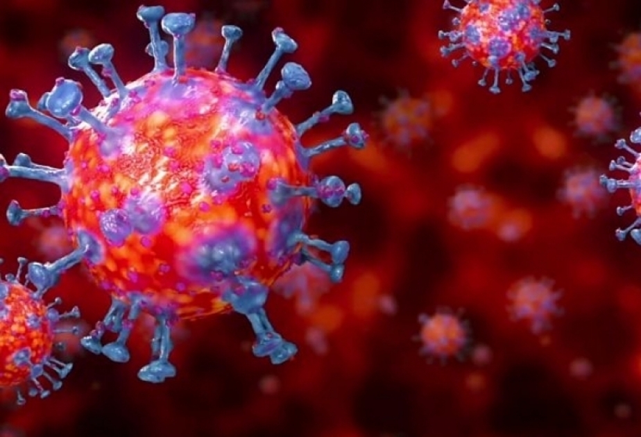 Coronavirus in Frankreich: Zahl der Todesopfer steigen auf 101 881