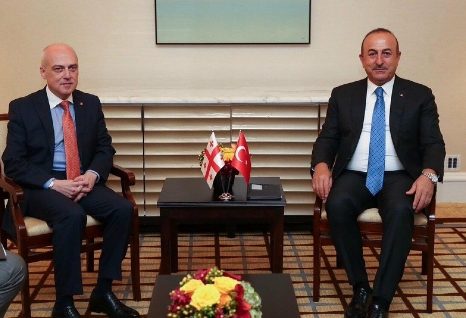 وزيرا الخارجية التركي والجورجي يبحثان اوضاع اوكرانيا واراضي جورجيا المحتلة