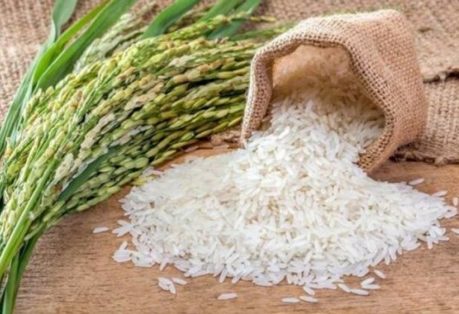 Aumentan las importaciones de arroz en Azerbaiyán