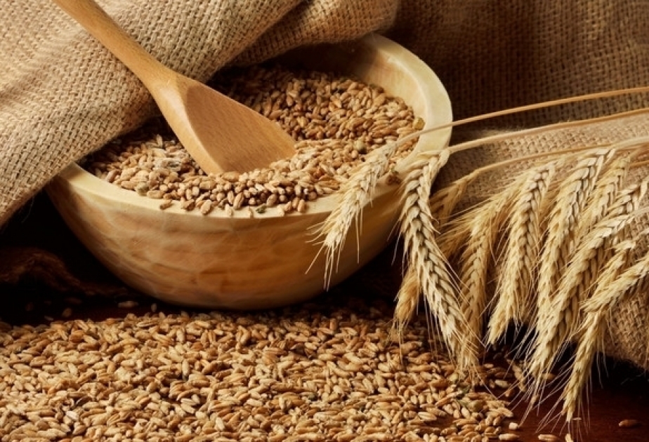 小麦进口量增加
