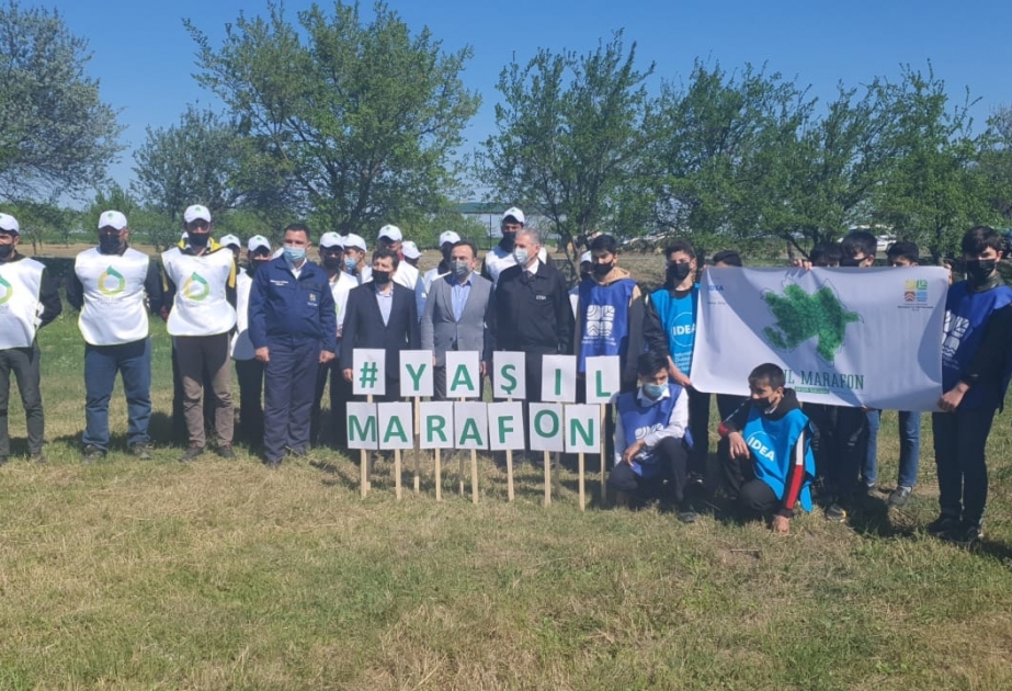 “Yaşıl Marafon” çərçivəsində bal verən ağaclar əkildi