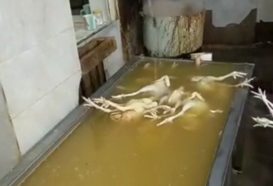 Suraxanıda antisanitar şəraitdə fəaliyyət göstərən quş kəsimi məntəqəsi aşkarlanıb