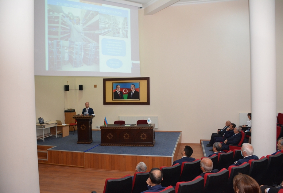 Ənənəvi tibbə əsaslanan alternativ müalicə metodları qədim tarixə malikdir