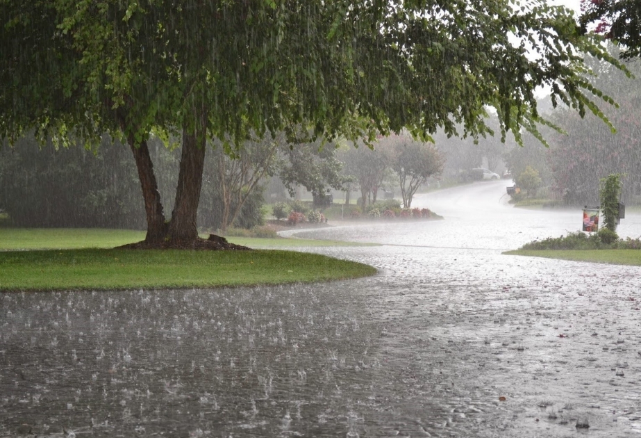 Синоптики предупреждают: в некоторых регионах прогнозируются интенсивные дожди с грозами