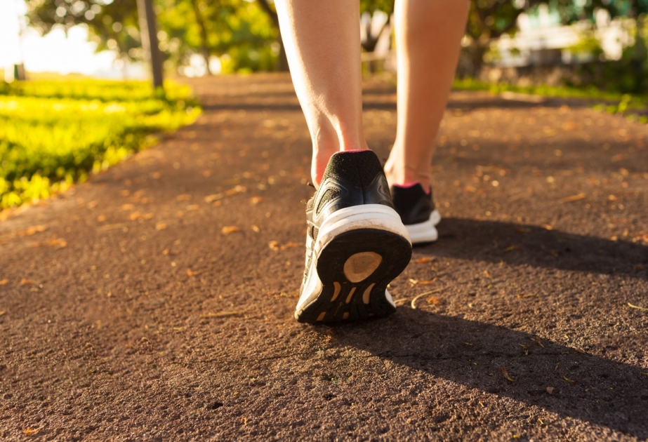 20 минут ежедневных прогулок пешком повышают шансы на долголетие