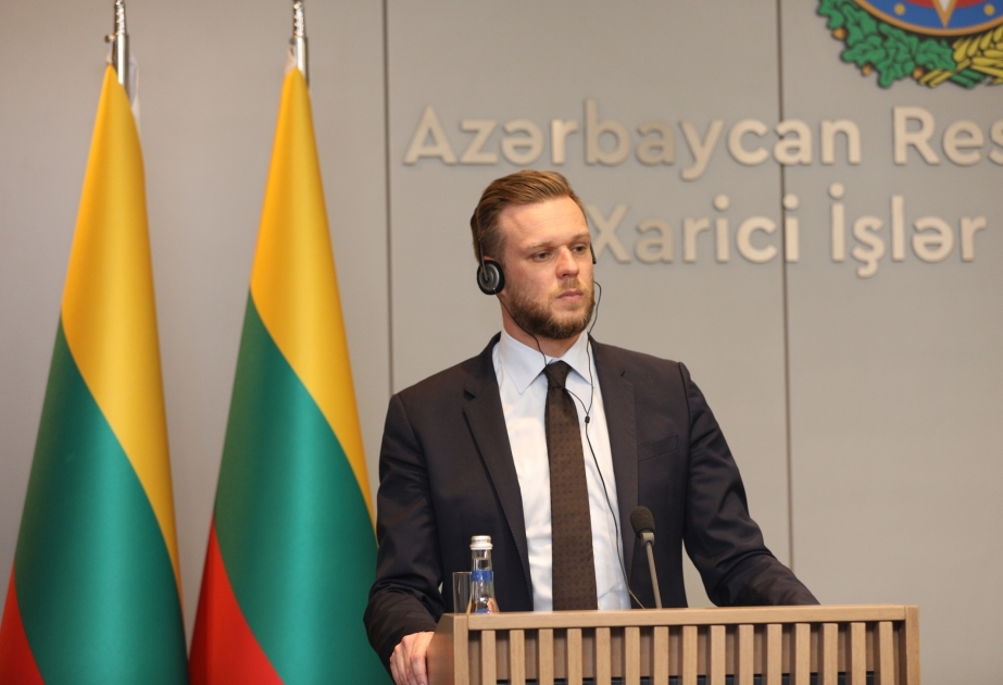 Габриэлюс Ландсбергис: Мы готовы к любому сотрудничеству, которое предложит азербайджанская сторона