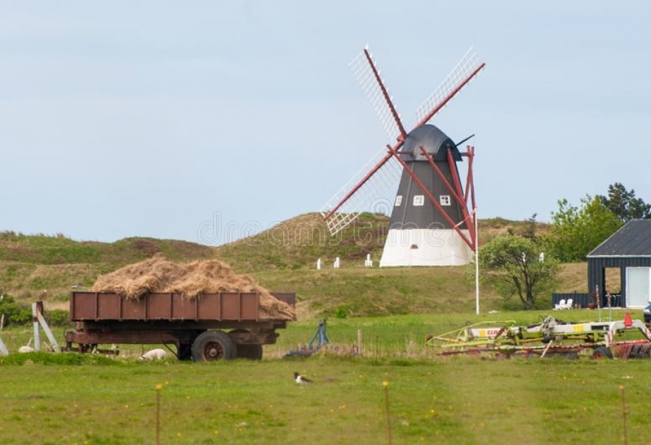 Дания увеличит расходы на экологически чистые сельскохозяйственные технологии