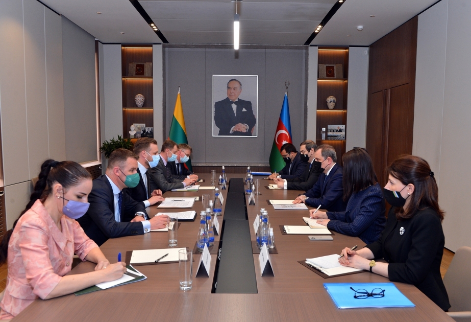 Azerbaijan, Lithuania discuss cooperation within international platforms VIDEO