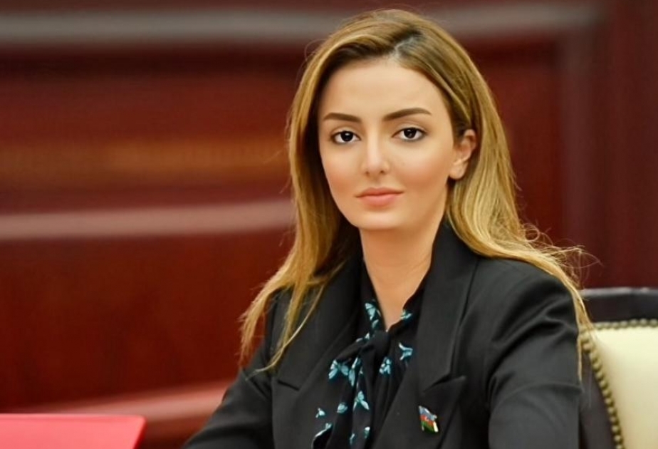 “Qarabağa dönüş” İctimai Birliyinin fəaliyyəti “Böyük qayıdış”a töhfəsini verəcək