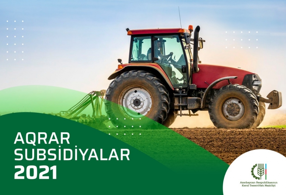 Payızlıq əkinlərə görə 274 min 619 fermerə subsidiya ödənilib