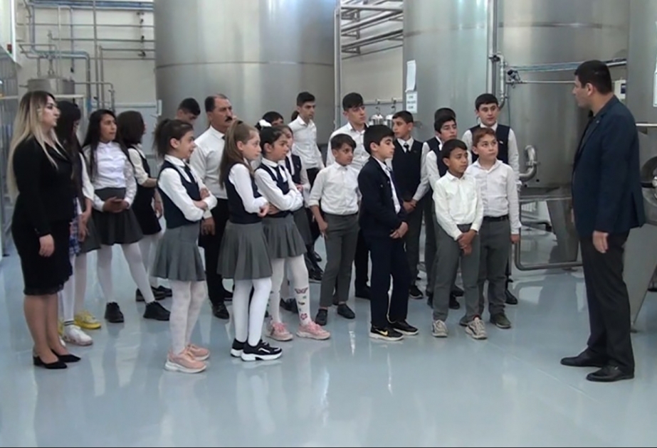 Şagirdlər “Badamlı”nın istehsal prosesi ilə tanış olublar