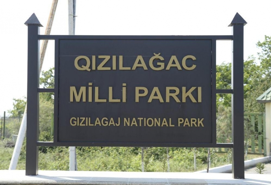 Heydər Əliyev Fondunun vitse-prezidenti Leyla Əliyeva Qızılağac Milli Parkına səfər edib