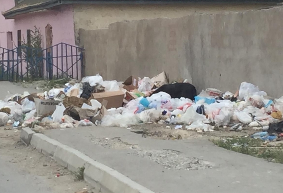 Sanitariya-gigiyena qaydalarının təmin olunması istiqamətində profilaktik tədbirlər davam etdirilir