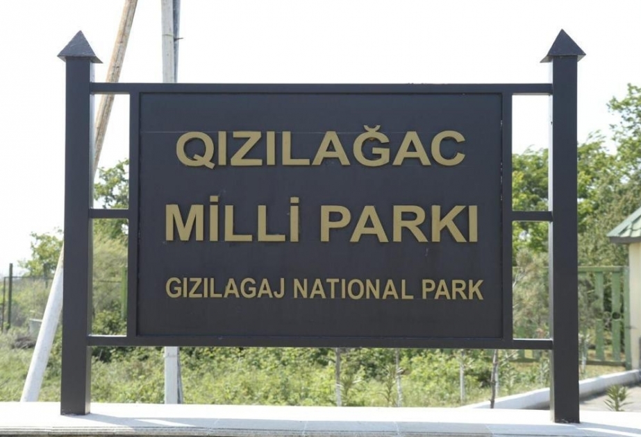 La vicepresidenta de la Fundación Heydar Aliyev, Leyla Aliyeva, visita el Parque Nacional de Gizilaghaj