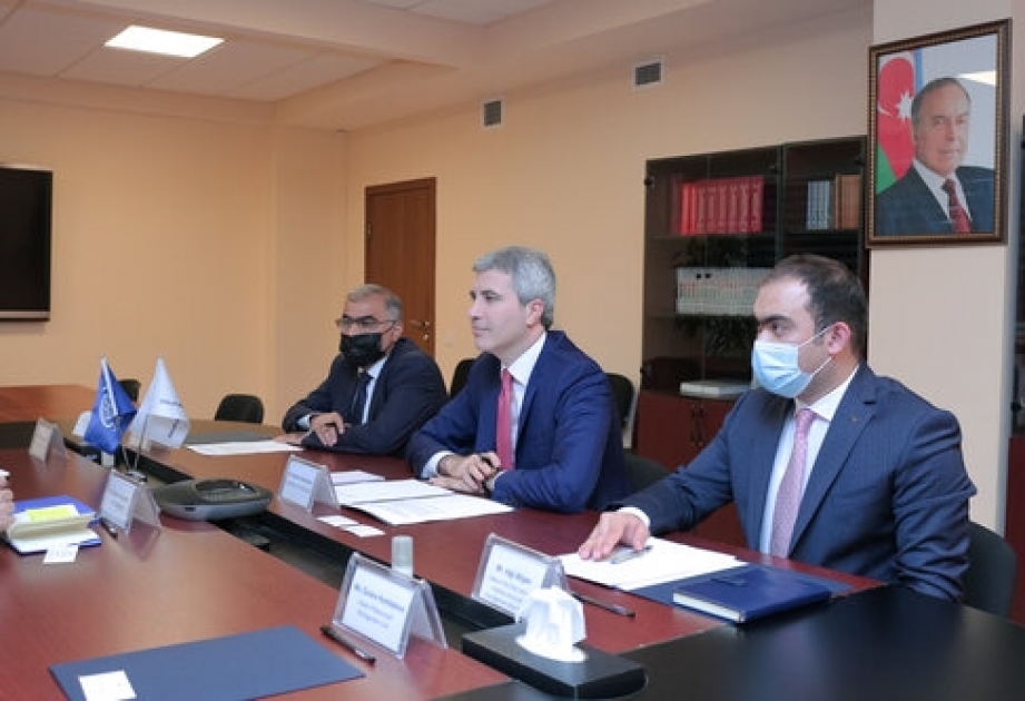 Dövlət Məşğulluq Agentliyi Beynəlxalq Miqrasiya Təşkilatı ilə əməkdaşlıq perspektivlərini müzakirə edib