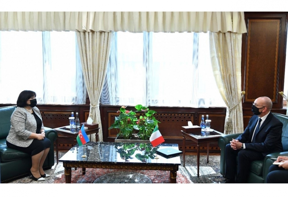 阿塞拜疆国民议会议长萨黑巴·加法罗娃会见意大利参议院外交及移民事务常务委员会主席