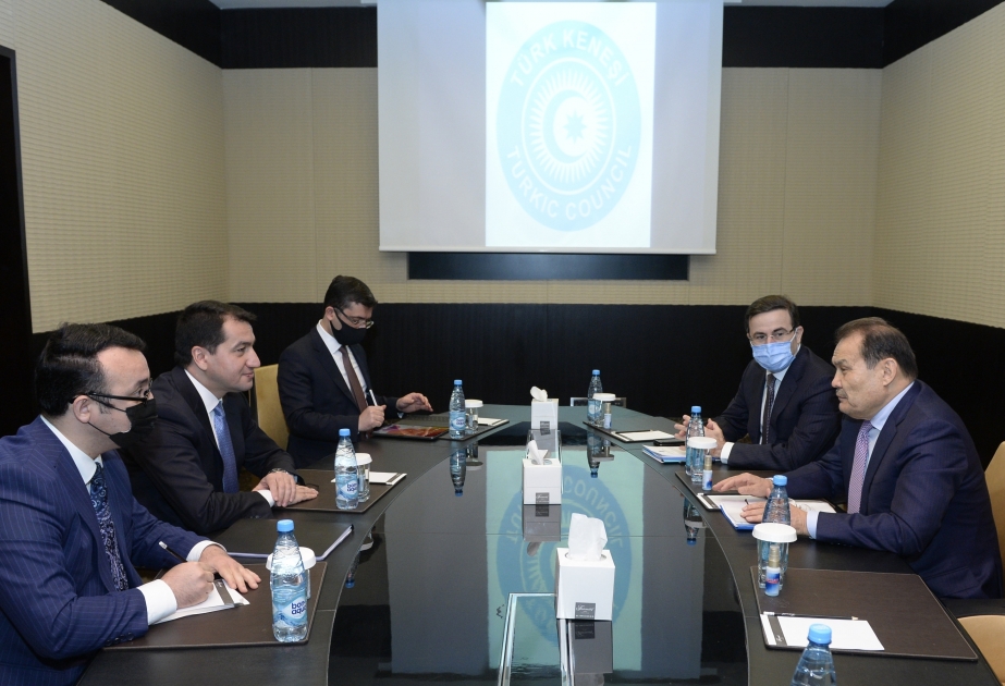 阿塞拜疆总统助理会见突厥理事会秘书长