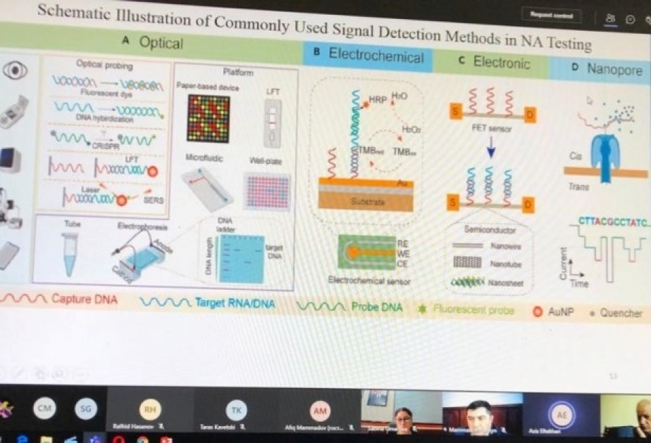 BDU-da beynəlxalq elmi konfrans: Biologiyada elmi nailiyyətlər və çağırışlar