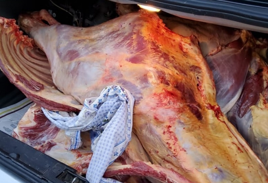 Salyanda mənşəyi məlum olmayan 209 kiloqram heyvan cəmdəyi aşkarlanıb