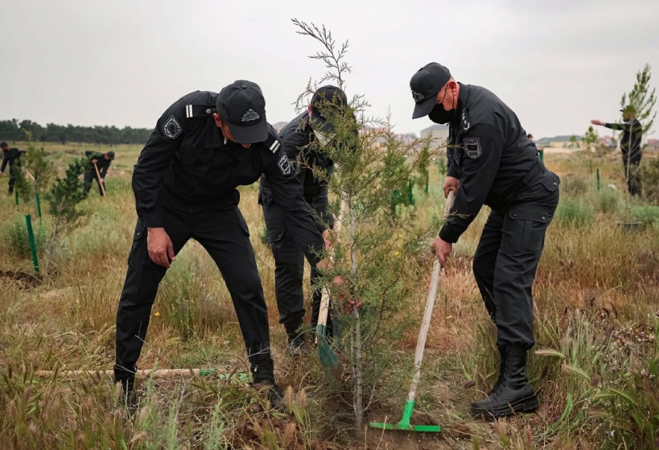 Ətraf mühitin mühafizəsi və sağlamlaşdırılması polisin də diqqət mərkəzindədir VİDEO