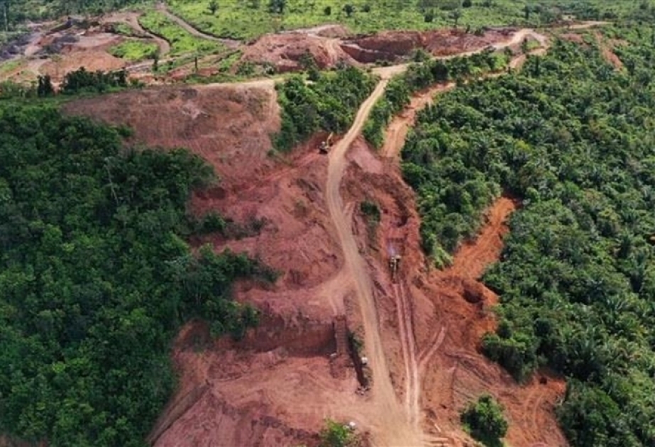 España le pide a Brasil que se comprometa con la protección del medio ambiente