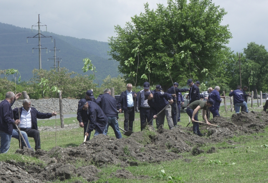 Zaqatalada Ulu Öndərin doğum gününə həsr olunmuş gül və ağacəkmə aksiyaları keçirilib