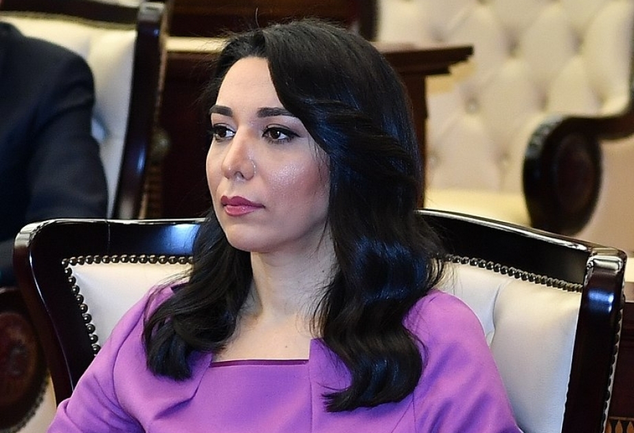 Azerbaijani Ombudsperson appeals to international organizations