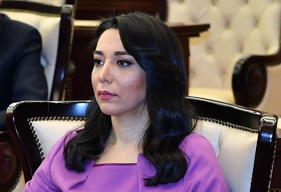 La Defensora del Pueblo de Azerbaiyán hace un llamamiento a las organizaciones internacionales