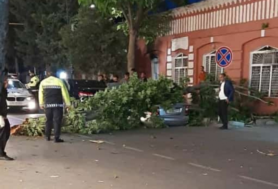 Ağdaşda güclü külək bir sıra fəsadlar törədib