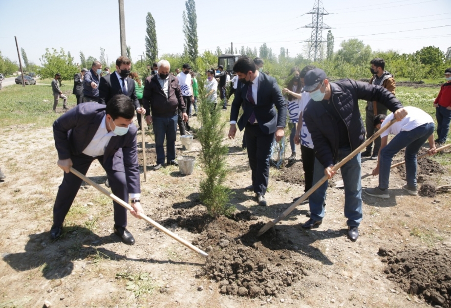 Xaçmazda ulu öndər Heydər Əliyevin anadan olmasının ildönümü ilə əlaqədar 980 ədəd ağac əkilib