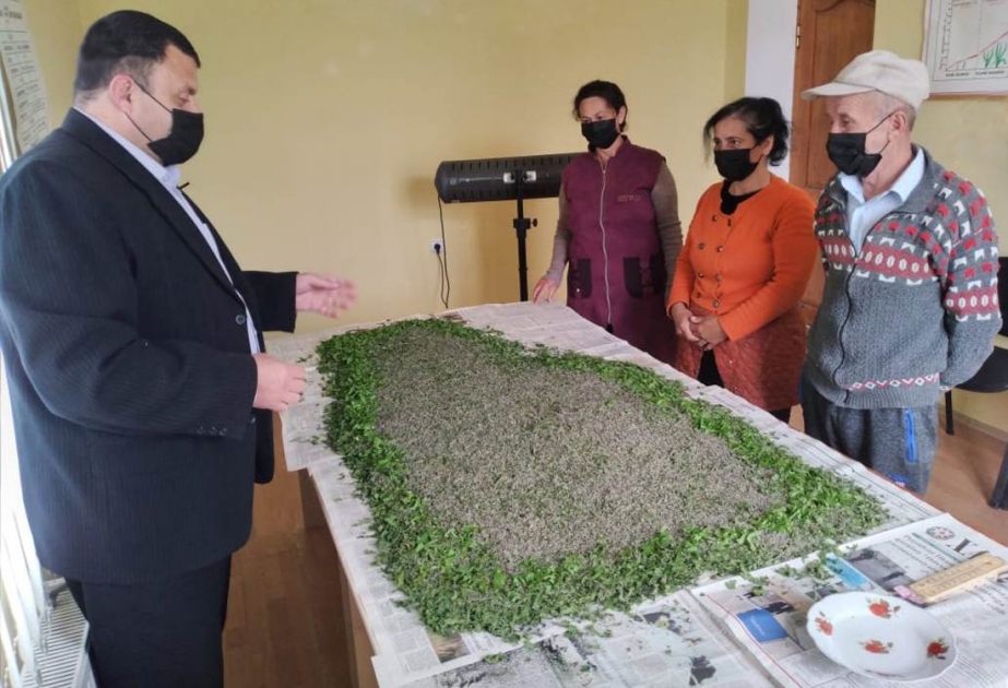 Şəki Regional Aqrar Elm və İnnovasiya Mərkəzi kümçülər üçün təlimlər təşkil edib