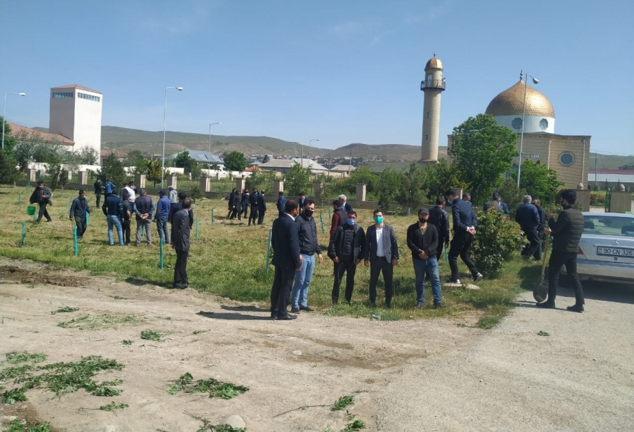 Qobustanda keçirilən ağacəkmə aksiyasında 250 ədəd ağac tingi əkilib
