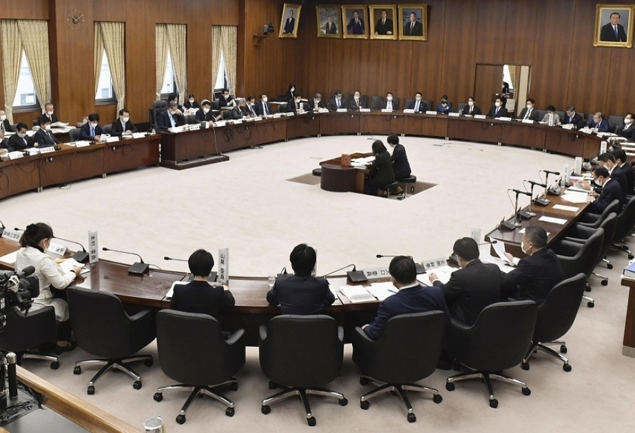 Japan lower house passes referendum law revision