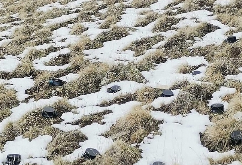 После того, как снег в Кяльбаджарском районе начал таять, были обнаружены заложенные армянами сотни мин - Омбудсмен обратилась к международным организациям