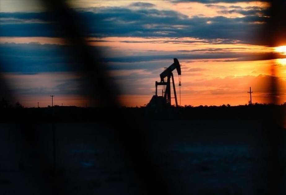 Cari ildə qlobal neft tələbatı gündəlik 96,5 milyon barelə çatacaq